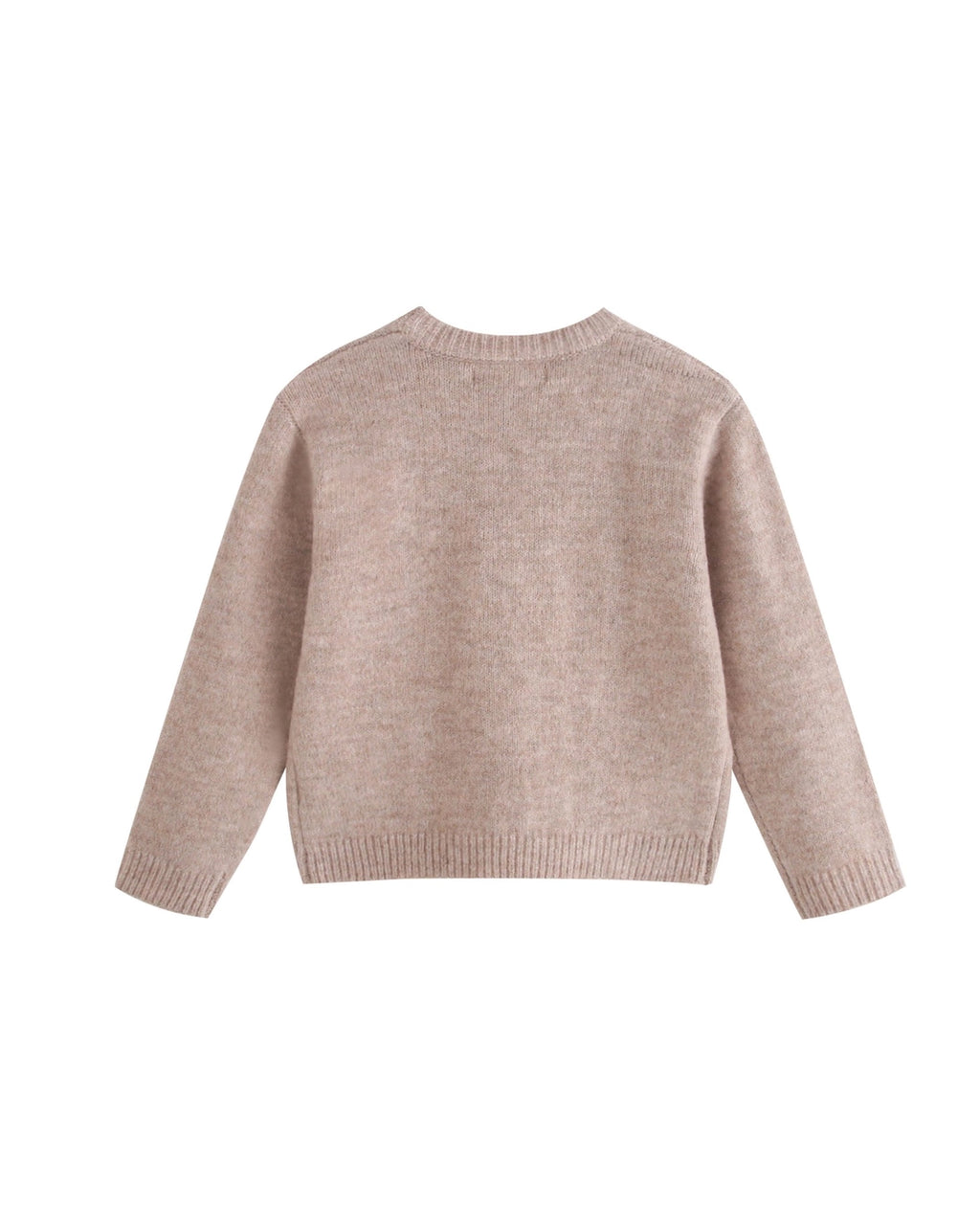 Newness Kids megztinis su dinozaurais